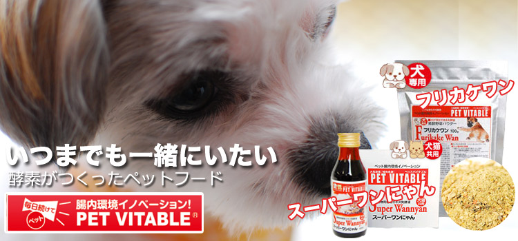 大高酵素のペットフードで健康を実現。