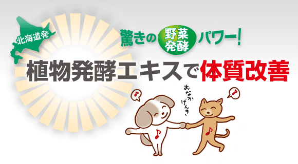 植物発酵エキススーパーワンにゃん